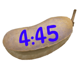 550287669