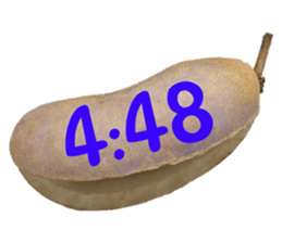550287670