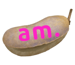 550287674