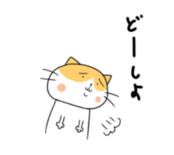 5502955