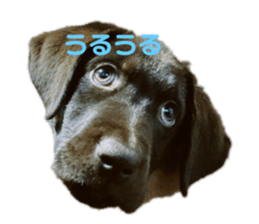 550322553