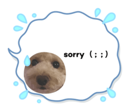 550324267