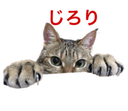 550335770