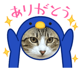 550371463