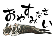 550390758
