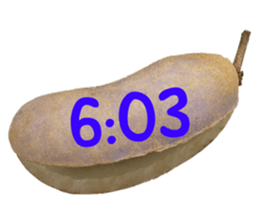 550390983
