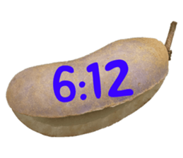 550390986