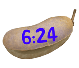 550390990
