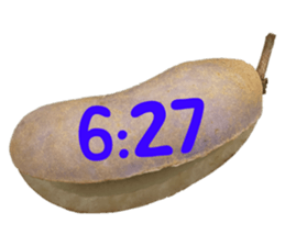 550390991