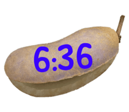 550390994