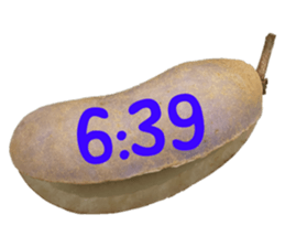 550390995