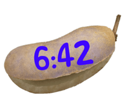 550390996
