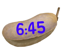 550390997