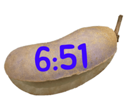 550390999