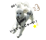 550396608