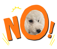 550396618