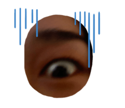 550406854