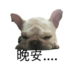 550436645