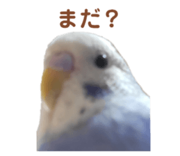 550442364