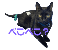 550446357