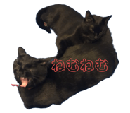 550446362