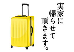 5504587
