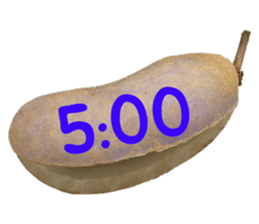 550596790
