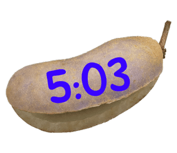 550596791