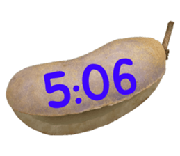 550596792