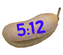 550596794