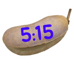 550596795