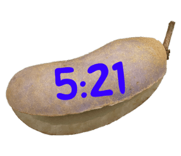 550596797