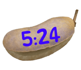 550596798