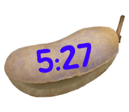 550596799