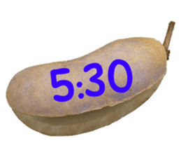 550596800