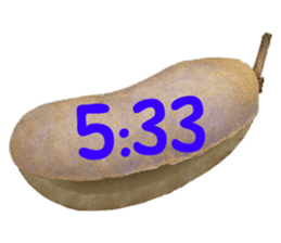 550596801