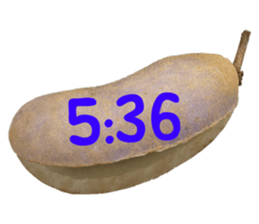 550596802