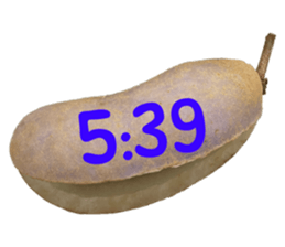 550596803