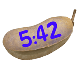550596804