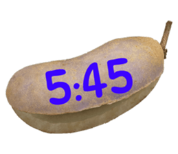 550596805