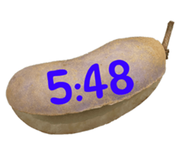 550596806