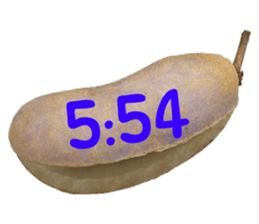 550596808