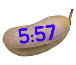 550596809