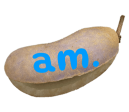550596810