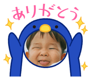550629812