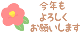550650707