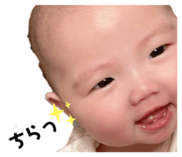 550651832