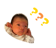 550660646