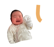 550660655