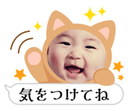 550661892